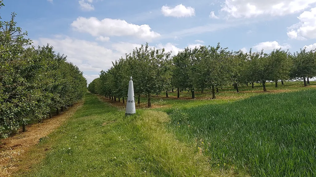 Belgium-Netherlands boundary stone no. 75