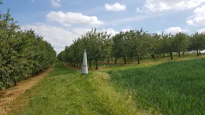 Belgium-Netherlands boundary stone no. 75
