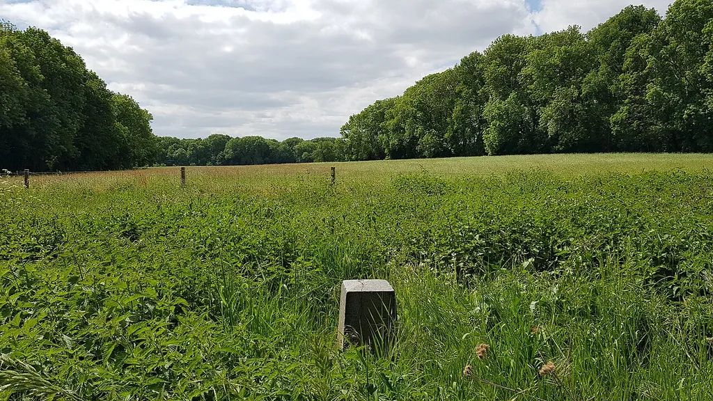 Belgium-Netherlands boundary stone no. 53b
