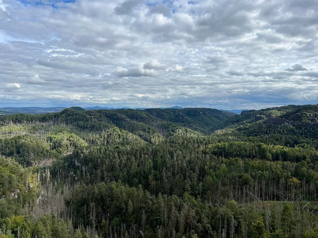 Goldsteinaussicht im Nationalpark Sächsische Schweiz. Im Bild: Die Schlucht des Großen Zschands.