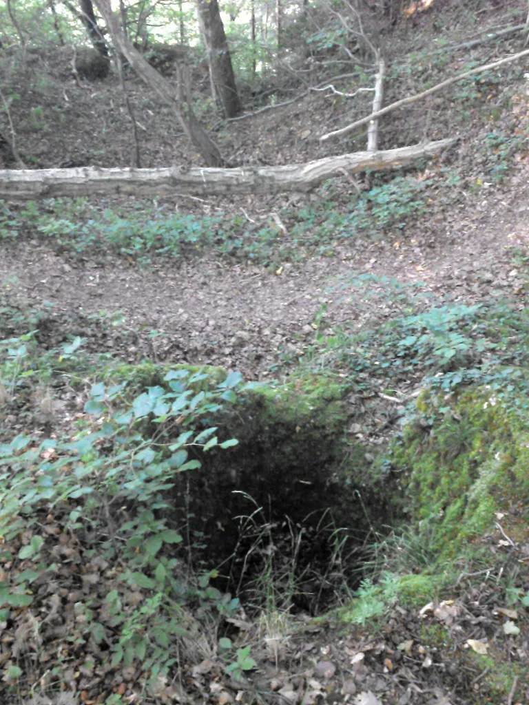 Semberg bei Schwerzen, Gemeinde Wutöschingen, Ringwallburg, Steinbrunnen (Zisterne) im Gipfelgraben.