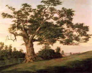 Charter Oak