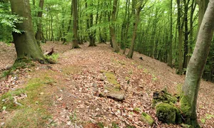 Dehmer Burg