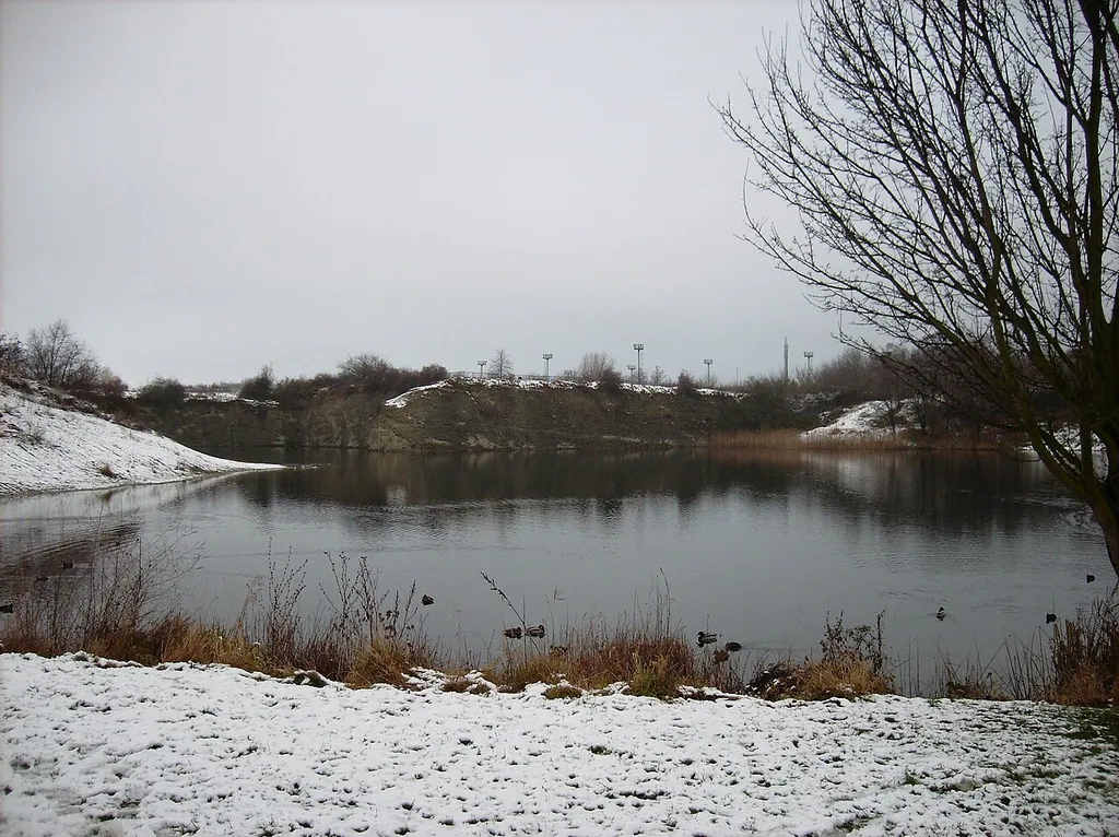 Bruchsee