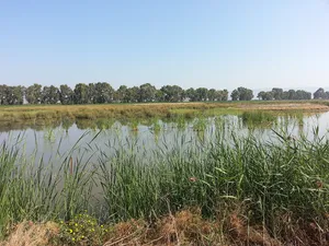 Lago Salso