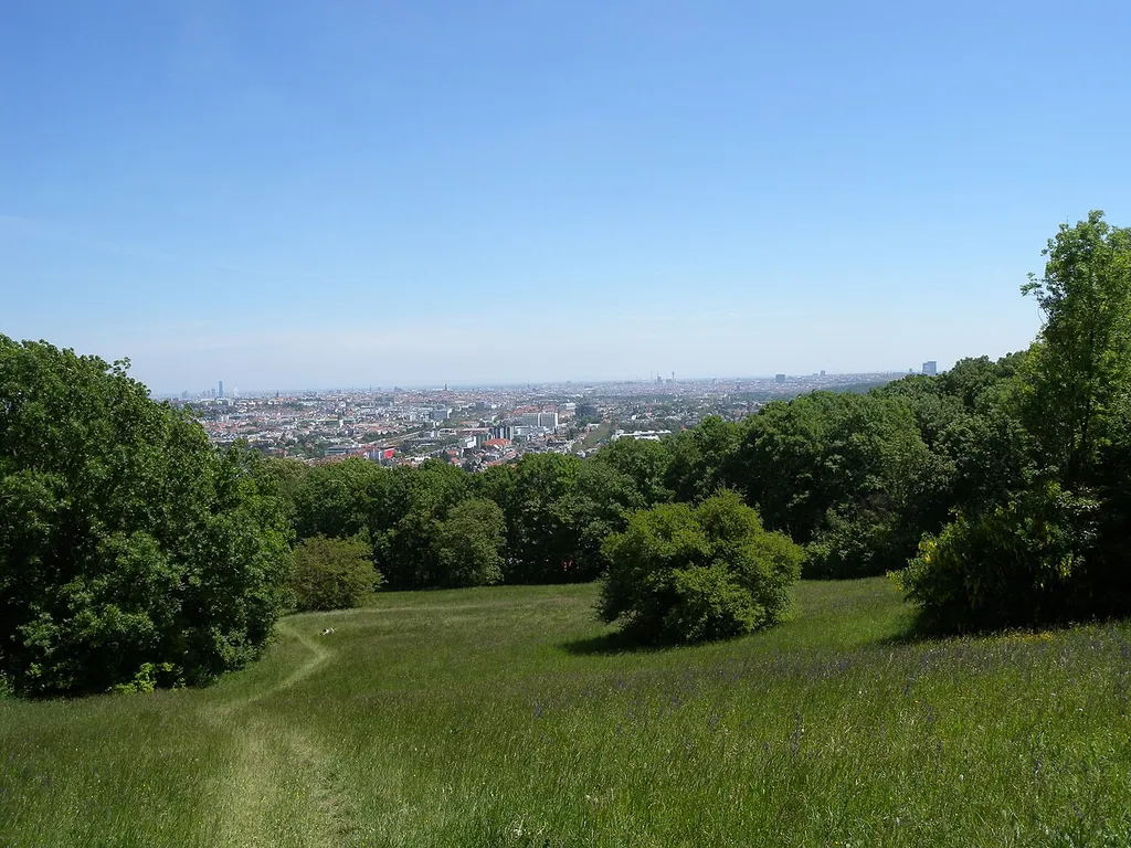 Himmelhofwiese