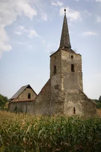 Reformed church of Vurpăr