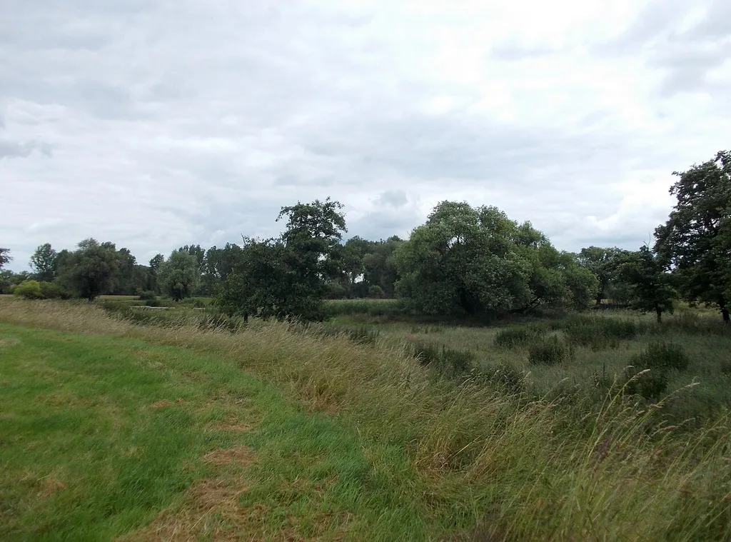 In the valley of the Mulde river near Zschepplin (Nordsachsen district, Saxony), nature reserve Vereinigte Mulde Eilenburg-Bad Düben