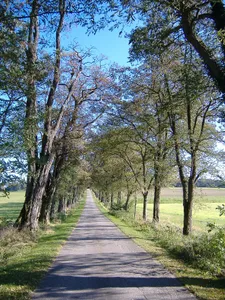 Schutz des Donautales westlich von Neuburg im Gebiet der Stadt Neuburg sowie der Märkte Burgheim und Rennertshofen und der Gemeinde Oberhausen, Landkreis Neuburg-Schrobenhausen