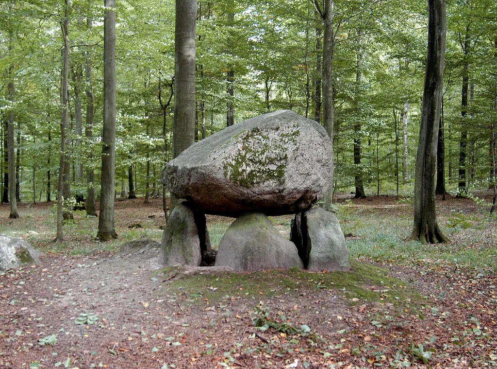 Dolmen in denmark (klosterisegn)-Hornbæk-North Zealand