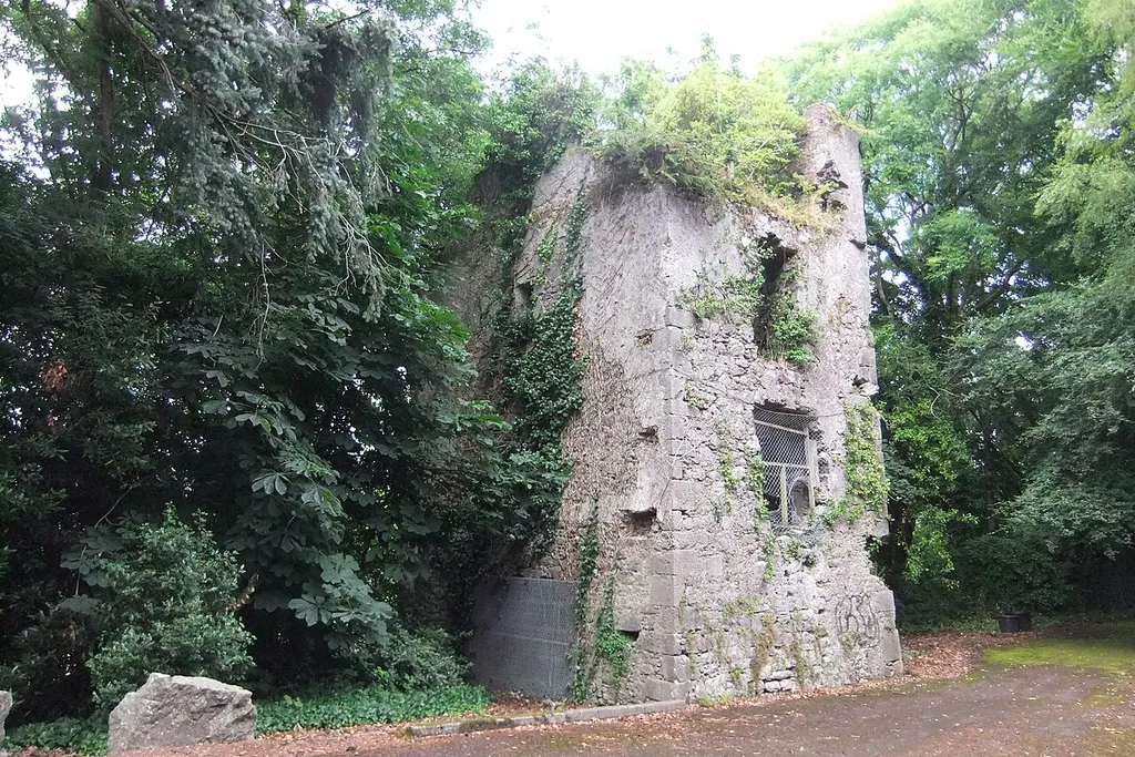 en:Dundanion Castle (formerly "Galwey's Castle") is a Tudor tower house ruin on the border between Ballintemple and Blackrock in Cork, Ireland