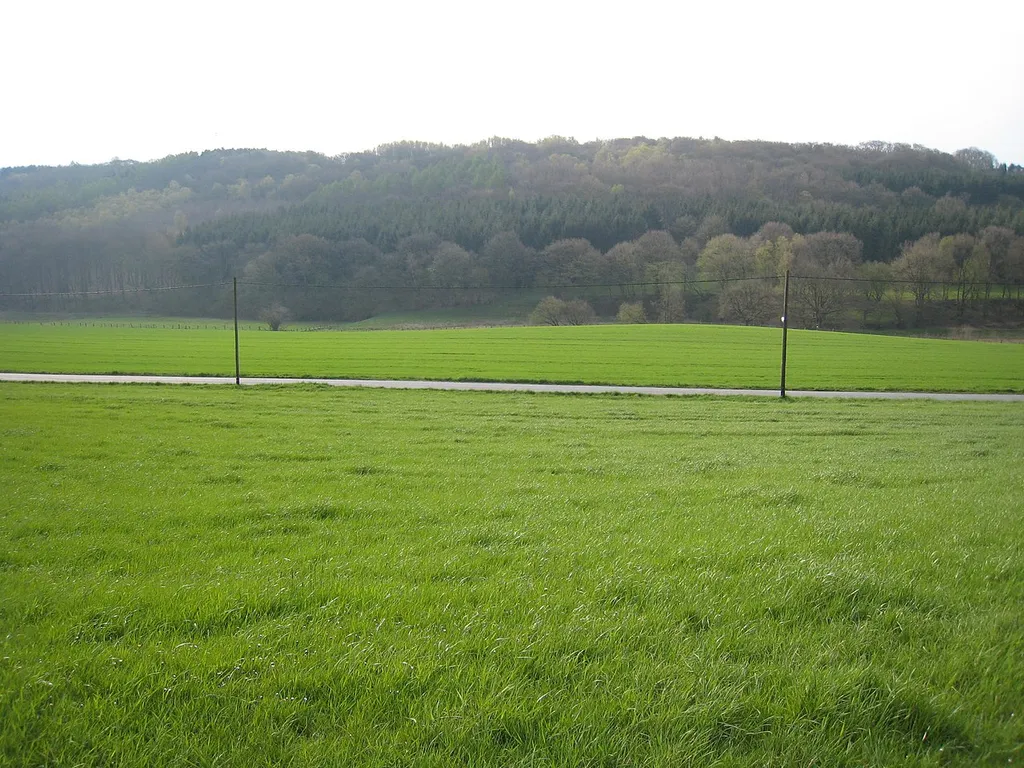 Landwirtschaftliche Flächen und Wald im Wannebachtal in Dortmund-Syburg; Blick von der Irminsulstraße nach Südsüdosten über die Wannestraße zum Waldgebiet Buchholz; im Talraum verläuft der Wannebach im Naturschutzgebiet „Fürstenbergholz und Wannebachtal“, das hier nur rund 100–150 m breit ist.
