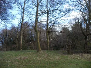 Wakefield Castle