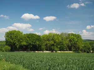 Friedhof des Klostergutes Grauhof