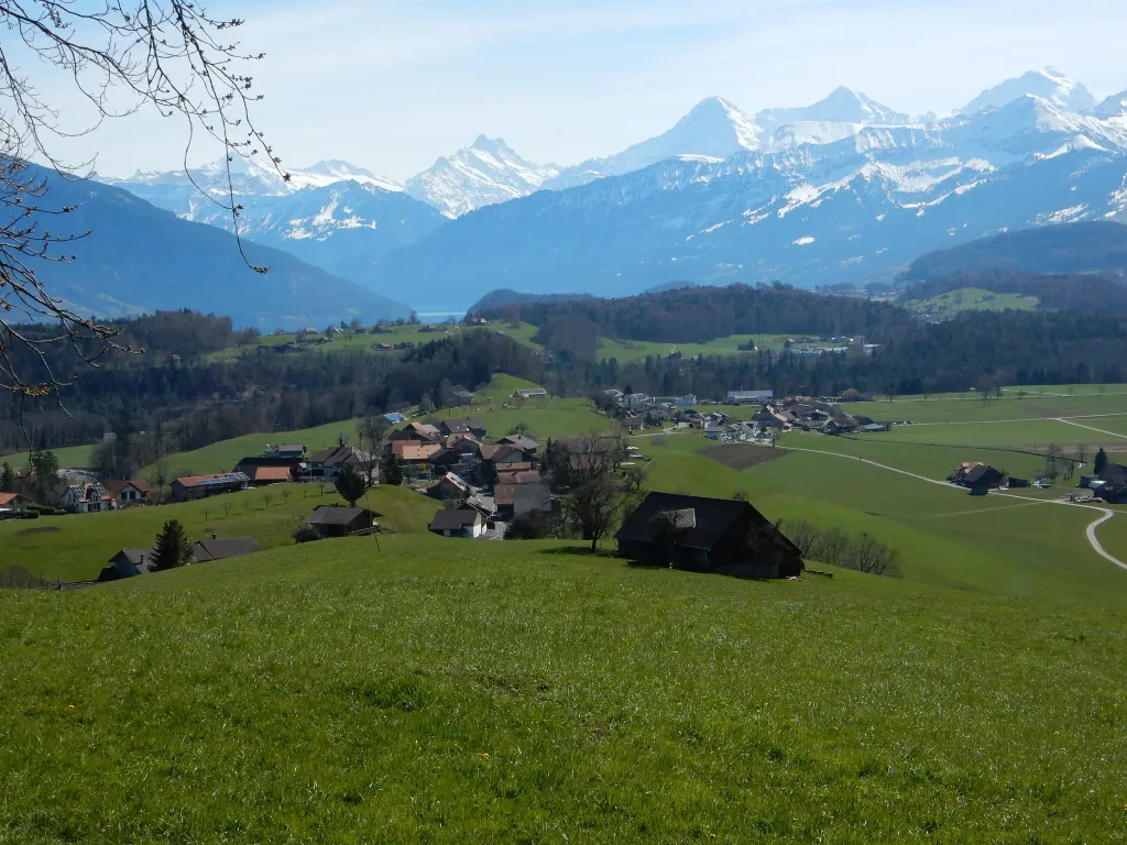 Bild von q65179.webp