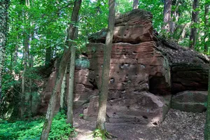 Tiergarten Nürnberg mit Schmausenbuck