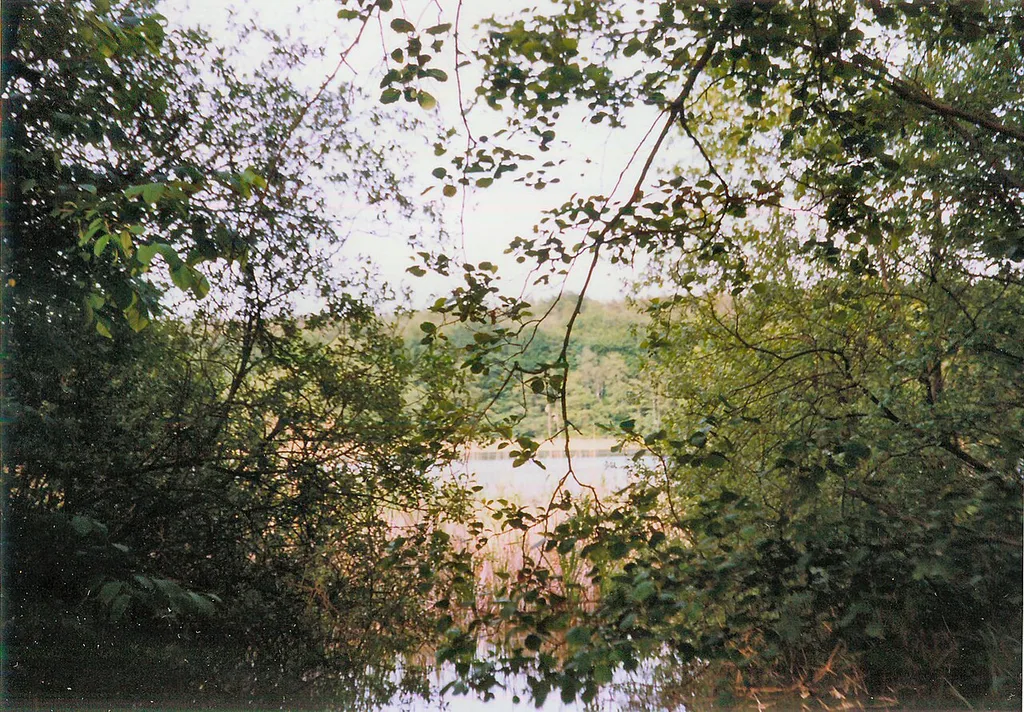 Abfluss der Jasenitz aus der Lüschow, Gemeinde Dobbertin, Landkreis Parchim, Mecklenburg-Vorpommern, Deutschland