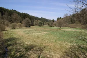 Spessartwiesen