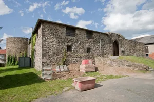 Burg Grüningen