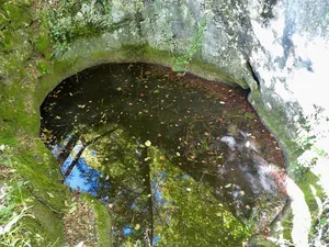 Gletschertöpfe am Kälberstein in Berchtesgaden