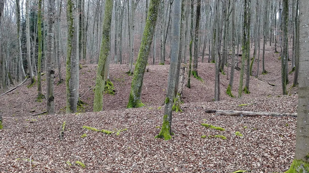 Burgstelle Tiefenbach