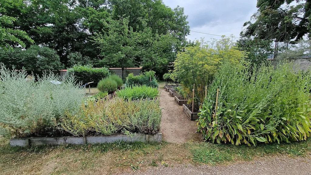 Monastery garden in Memleben; Hortulus