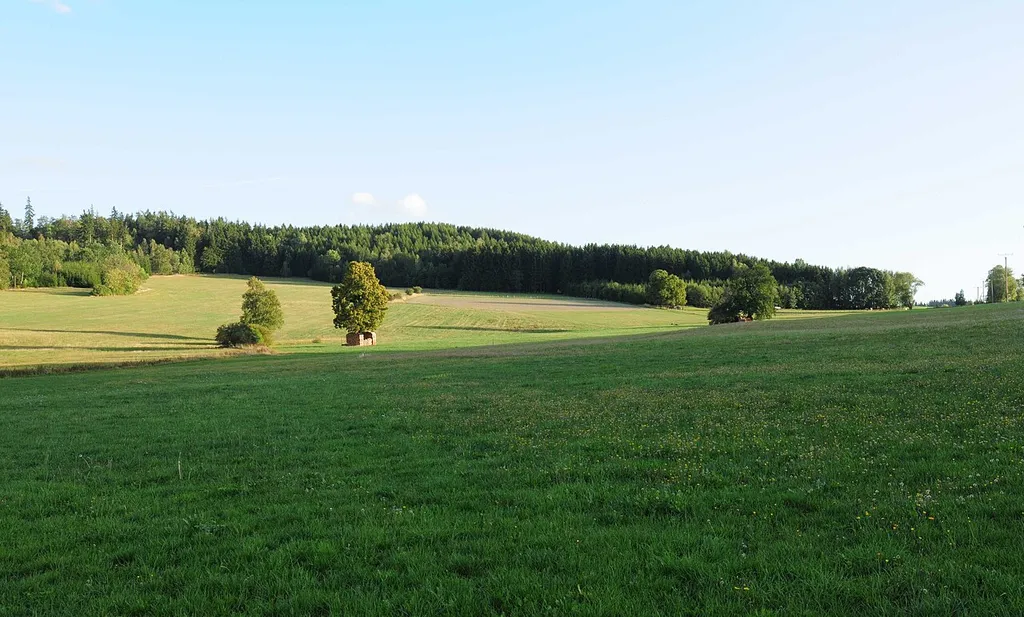 Burgsteinlandschaft
