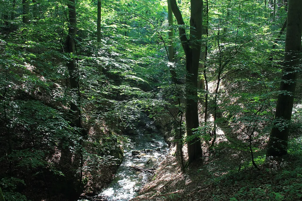 Binenwalde am Kalksee, am Binenbach entlang