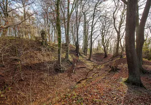 Burg Reineberg