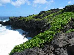 Haleakalā National Park