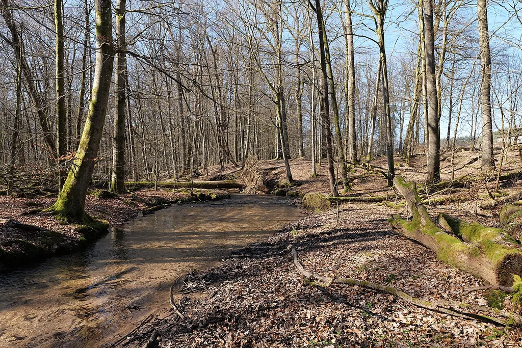 Biberlebensraum Hessischer Spessart (Jossa und Sinn)