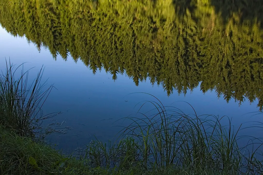 Lotterteich (also: Lothener Teich, Lother Teich or Mühlteich), artificial lake near Brand-Erbisdorf, Saxony