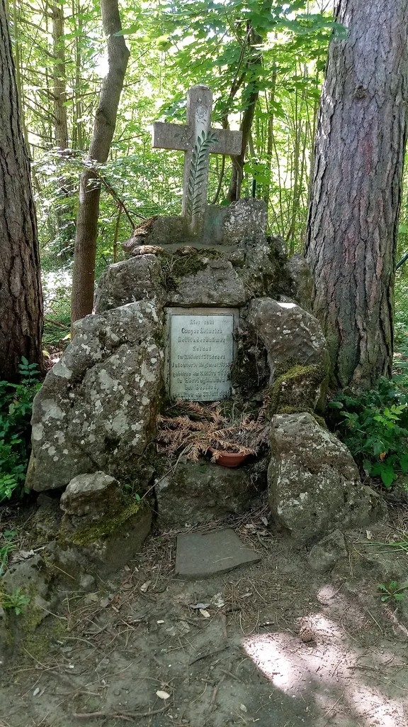Grab des Caspar Heinrich Hollinderbäumer, einer der letzten Gefallenen des Mainfeldzuges 1866 auf dem Nikolausberg bei Würzburg. Inschriftː Hier ruht Caspar Heinrich Hollinderbäumer Soldat im 2. Westfälischen Infanterie-Regiment № 15 geboren am 3.März 1837 in Herringhausen bei Herford gefallen am 27. Juli 1866. Siehe auch Seite 8 von https://s7a18fc907f58870e.jimcontent.com/download/version/1553010320/module/11318031595/name/HF2019-03-14.pdf und https://www.yumpu.com/de/document/read/24806483/geschichten-und-geschichte-uber-den-nikolausberg-meeviertel-