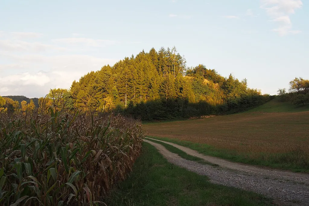 Mittelalterlicher Burgstall in Kroisbach, St. Margarethen an der Raab, Steiermark. Auf diesem markanten Hügel soll sich Burgstall befunden haben.