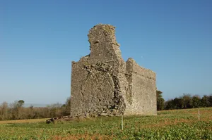 Ballylarkin Church
