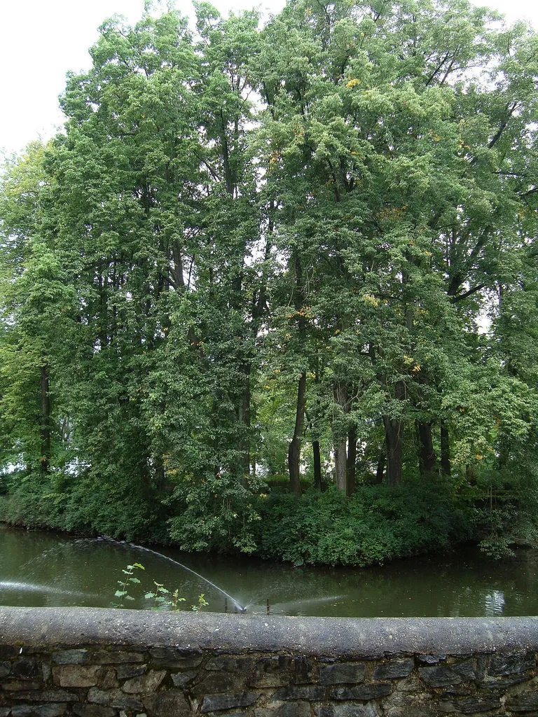 Wasserburg Hofteich
