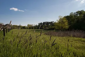 Nachtweide von Patershausen
