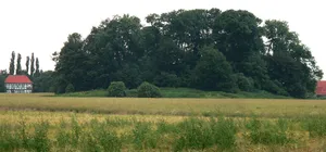 Burg Wölpe