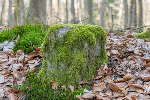 Grenzstein Tränkweiher in Fürth