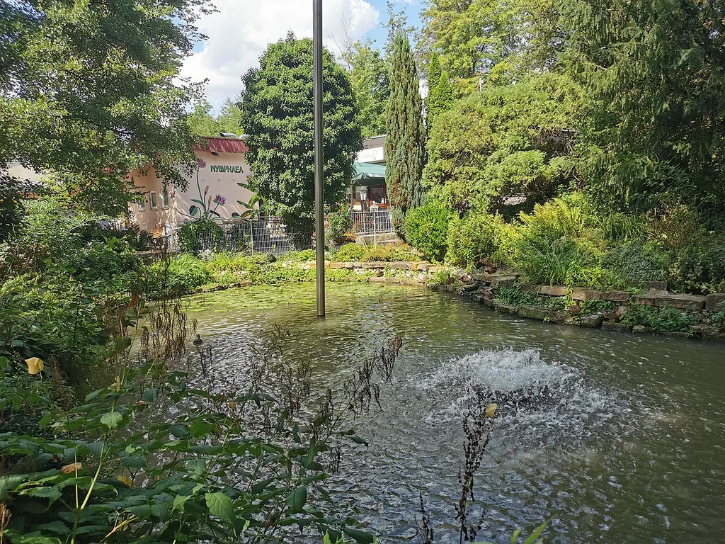 Tierpark Nymphaea