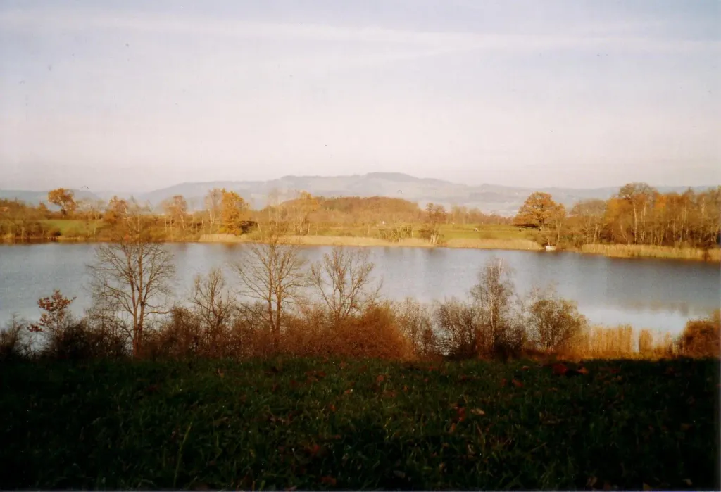 Bild von q66129.webp
