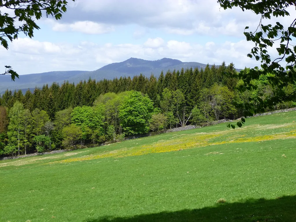 Bavarian Forest Nature Park