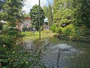 Tierpark Nymphaea