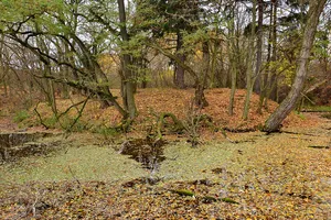 Budiš Castle