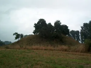 Motte Altenburg