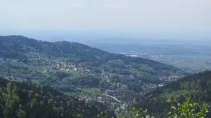 Talschwarzwald zwischen Bühlertal und Forbach