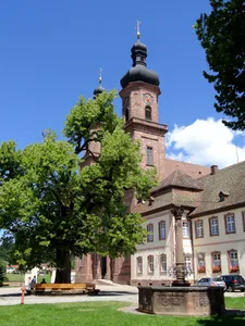 1 Sommerlinde auf dem Klostervorplatz