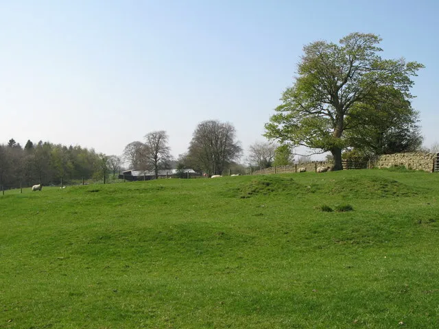 (The site of) Milecastle 51 (Wall Bowers)