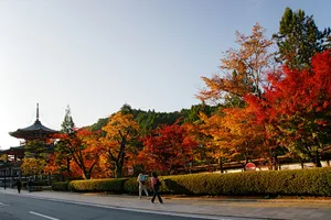 Kōya-Ryūjin Quasi-National Park