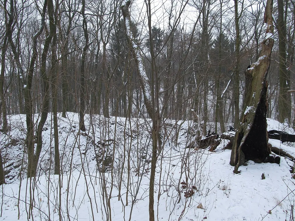 This is a photo of a cultural monument of the Czech Republic,number: